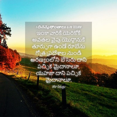 Picture 04 - 1 దినవృత్తాంతాలు 6:78 TELIRV - ఇంకా వారికి - Bible Verse Picture