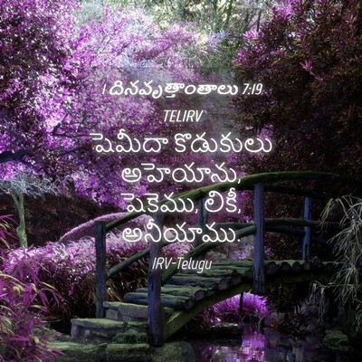 Picture 04 - 1 దినవృత్తాంతాలు 7:19 TELIRV - షెమీదా కొడుకులు - Bible Verse Picture