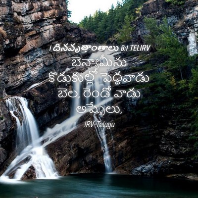 Picture 04 - 1 దినవృత్తాంతాలు 8:1 TELIRV - బెన్యామీను - Bible Verse Picture
