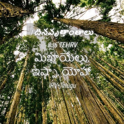 Picture 04 - 1 దినవృత్తాంతాలు 8:16 TELIRV - మిఖాయేలు, ఇష్పా, - Bible Verse Picture