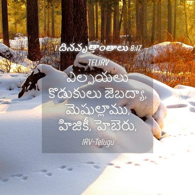 Picture 04 - 1 దినవృత్తాంతాలు 8:17 TELIRV - ఎల్పయలు కొడుకులు - Bible Verse Picture