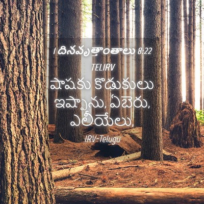 Picture 04 - 1 దినవృత్తాంతాలు 8:22 TELIRV - షాషకు కొడుకులు - Bible Verse Picture