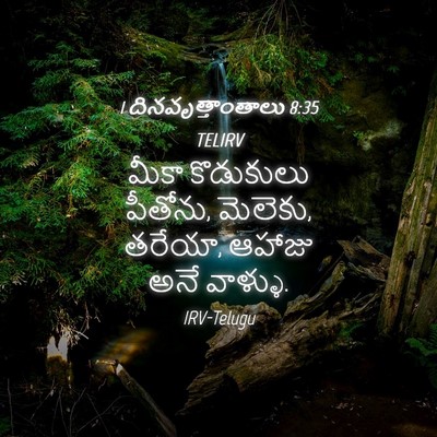 Picture 04 - 1 దినవృత్తాంతాలు 8:35 TELIRV - మీకా కొడుకులు - Bible Verse Picture