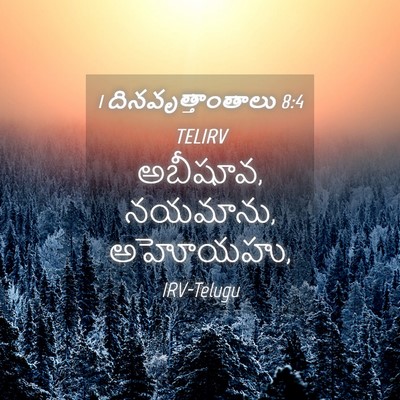 Picture 04 - 1 దినవృత్తాంతాలు 8:4 TELIRV - అబీషూవ, నయమాను, - Bible Verse Picture