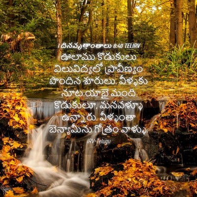 Picture 04 - 1 దినవృత్తాంతాలు 8:40 TELIRV - ఊలాము కొడుకులు - Bible Verse Picture