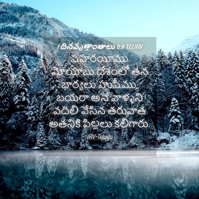 Picture 04 - 1 దినవృత్తాంతాలు 8:8 TELIRV - షహరయీము మోయాబు - Bible Verse Picture