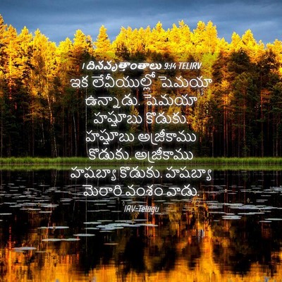 Picture 04 - 1 దినవృత్తాంతాలు 9:14 TELIRV - ఇక లేవీయుల్లో - Bible Verse Picture