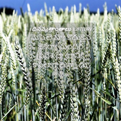 Picture 04 - 1 దినవృత్తాంతాలు 9:21 TELIRV - మెషెలెమ్యా - Bible Verse Picture