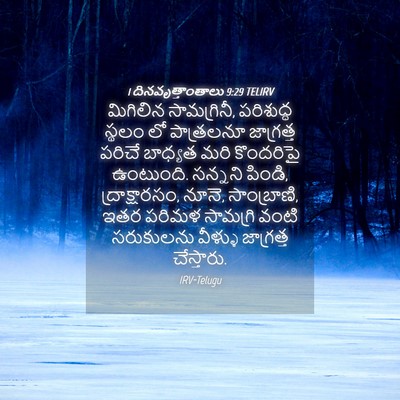 Picture 04 - 1 దినవృత్తాంతాలు 9:29 TELIRV - మిగిలిన - Bible Verse Picture