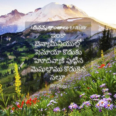 Picture 04 - 1 దినవృత్తాంతాలు 9:7 TELIRV - ఇంకా - Bible Verse Picture