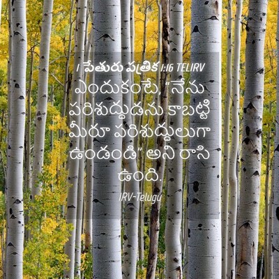 Picture 04 - 1 పేతురు పత్రిక 1:16 TELIRV - ఎందుకంటే, “నేను - Bible Verse Picture