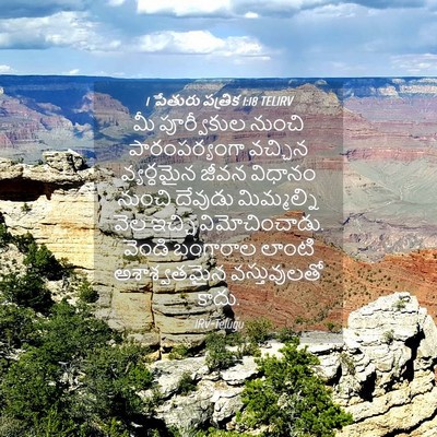 Picture 04 - 1 పేతురు పత్రిక 1:18 TELIRV - మీ పూర్వీకుల - Bible Verse Picture