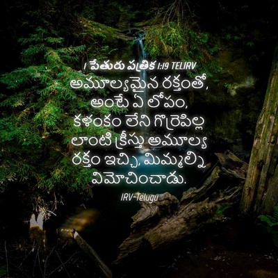 Picture 04 - 1 పేతురు పత్రిక 1:19 TELIRV - అమూల్యమైన - Bible Verse Picture