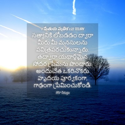 Picture 04 - 1 పేతురు పత్రిక 1:22 TELIRV - సత్యానికి లోబడడం - Bible Verse Picture