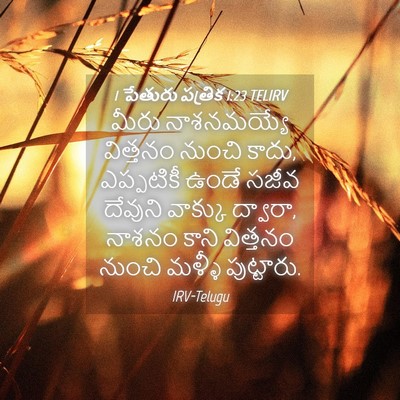 Picture 04 - 1 పేతురు పత్రిక 1:23 TELIRV - మీరు నాశనమయ్యే - Bible Verse Picture