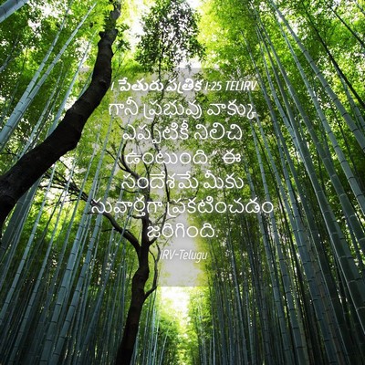 Picture 04 - 1 పేతురు పత్రిక 1:25 TELIRV - గానీ ప్రభువు - Bible Verse Picture