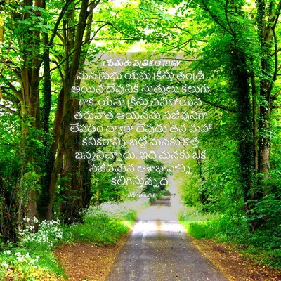 Picture 04 - 1 పేతురు పత్రిక 1:3 TELIRV - మన ప్రభు యేసు - Bible Verse Picture