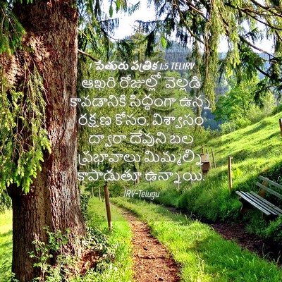 Picture 04 - 1 పేతురు పత్రిక 1:5 TELIRV - ఆఖరి రోజుల్లో - Bible Verse Picture