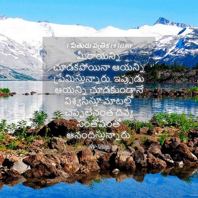 Picture 04 - 1 పేతురు పత్రిక 1:8 TELIRV - మీరాయన్ని - Bible Verse Picture