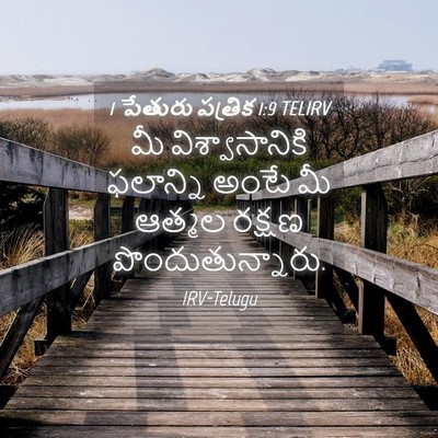 Picture 04 - 1 పేతురు పత్రిక 1:9 TELIRV - మీ విశ్వాసానికి - Bible Verse Picture