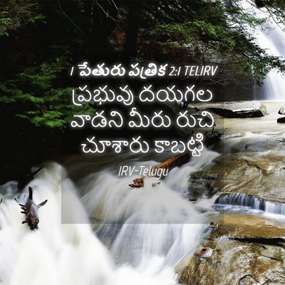 Picture 04 - 1 పేతురు పత్రిక 2:1 TELIRV - ప్రభువు దయగల - Bible Verse Picture
