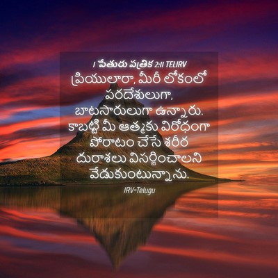 Picture 04 - 1 పేతురు పత్రిక 2:11 TELIRV - ప్రియులారా, మీరీ - Bible Verse Picture