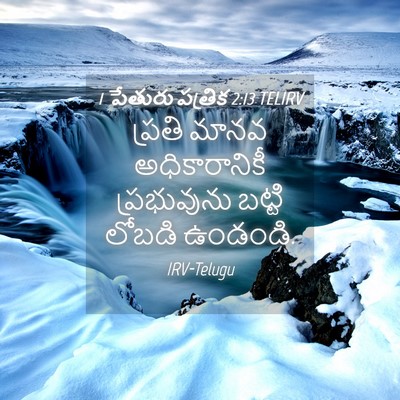 Picture 04 - 1 పేతురు పత్రిక 2:13 TELIRV - ప్రతి మానవ - Bible Verse Picture