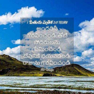 Picture 04 - 1 పేతురు పత్రిక 2:17 TELIRV - అందరినీ - Bible Verse Picture