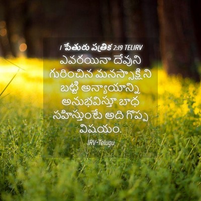 Picture 04 - 1 పేతురు పత్రిక 2:19 TELIRV - ఎవరయినా దేవుని - Bible Verse Picture