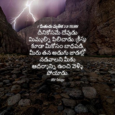 Picture 04 - 1 పేతురు పత్రిక 2:21 TELIRV - దీనికోసమే దేవుడు - Bible Verse Picture