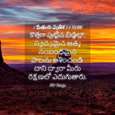 Picture 04 - 1 పేతురు పత్రిక 2:3 TELIRV - కొత్తగా పుట్టిన - Bible Verse Picture