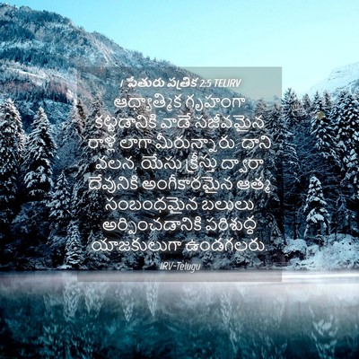 Picture 04 - 1 పేతురు పత్రిక 2:5 TELIRV - ఆధ్యాత్మిక గృహంగా - Bible Verse Picture