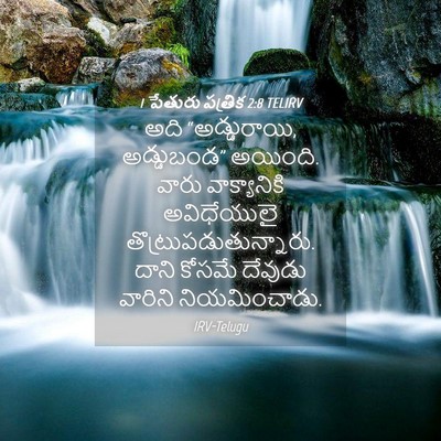 Picture 04 - 1 పేతురు పత్రిక 2:8 TELIRV - అది “అడ్డురాయి, - Bible Verse Picture