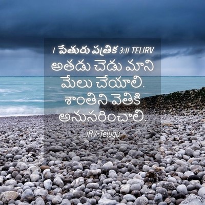 Picture 04 - 1 పేతురు పత్రిక 3:11 TELIRV - అతడు చెడు మాని - Bible Verse Picture