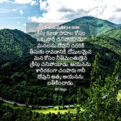 Picture 04 - 1 పేతురు పత్రిక 3:18 TELIRV - క్రీస్తు కూడా - Bible Verse Picture