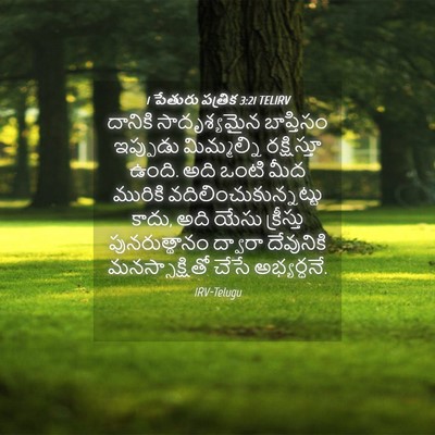 Picture 04 - 1 పేతురు పత్రిక 3:21 TELIRV - దానికి సాదృశ్యమైన - Bible Verse Picture