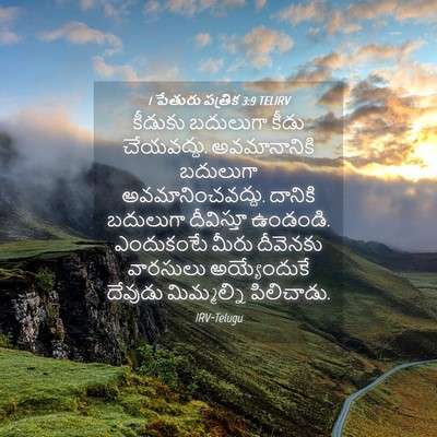 Picture 04 - 1 పేతురు పత్రిక 3:9 TELIRV - కీడుకు బదులుగా - Bible Verse Picture