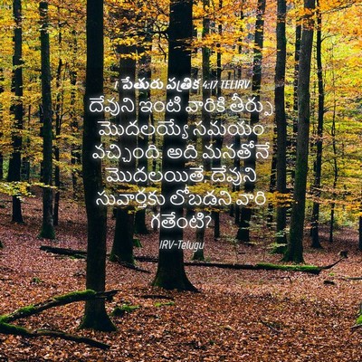 Picture 04 - 1 పేతురు పత్రిక 4:17 TELIRV - దేవుని ఇంటి - Bible Verse Picture