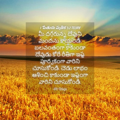 Picture 04 - 1 పేతురు పత్రిక 5:2 TELIRV - మీ దగ్గరున్న - Bible Verse Picture