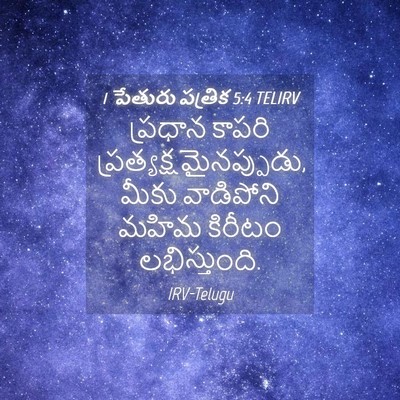 Picture 04 - 1 పేతురు పత్రిక 5:4 TELIRV - ప్రధాన కాపరి - Bible Verse Picture