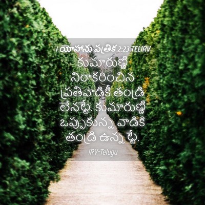 Picture 04 - 1 యోహాను పత్రిక 2:23 TELIRV - కుమారుణ్ణి - Bible Verse Picture