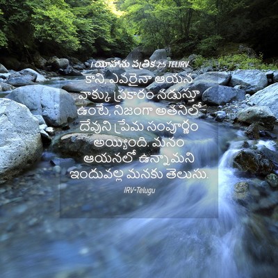 Picture 04 - 1 యోహాను పత్రిక 2:5 TELIRV - కాని, ఎవరైనా ఆయన - Bible Verse Picture