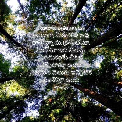 Picture 04 - 1 యోహాను పత్రిక 2:8 TELIRV - అయినా, మీకు కొత్త - Bible Verse Picture