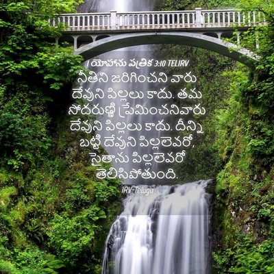 Picture 04 - 1 యోహాను పత్రిక 3:10 TELIRV - నీతిని జరిగించని - Bible Verse Picture