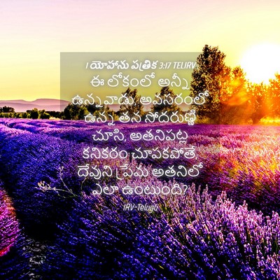 Picture 04 - 1 యోహాను పత్రిక 3:17 TELIRV - ఈ లోకంలో అన్నీ - Bible Verse Picture