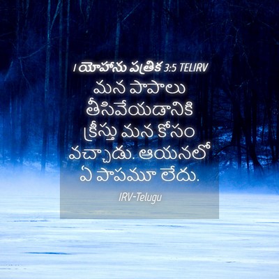 Picture 04 - 1 యోహాను పత్రిక 3:5 TELIRV - మన పాపాలు - Bible Verse Picture