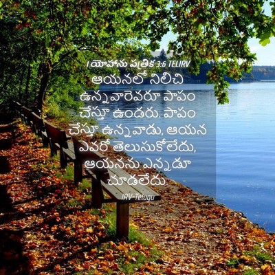 Picture 04 - 1 యోహాను పత్రిక 3:6 TELIRV - ఆయనలో నిలిచి - Bible Verse Picture