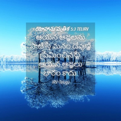 Picture 04 - 1 యోహాను పత్రిక 5:3 TELIRV - ఆయన ఆజ్ఞలను - Bible Verse Picture