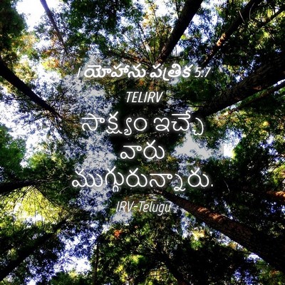 Picture 04 - 1 యోహాను పత్రిక 5:7 TELIRV - సాక్ష్యం ఇచ్చే - Bible Verse Picture