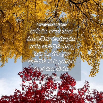 Picture 04 - 1 రాజులు 1:1 TELIRV - దావీదు రాజు బాగా - Bible Verse Picture